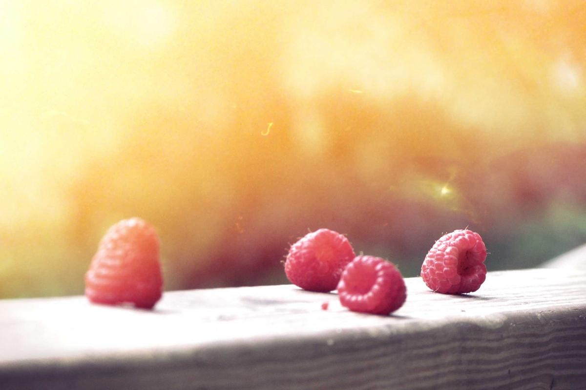 Leia mais sobre o artigo Aplicativos exclusivos de bem-estar mental em 2026