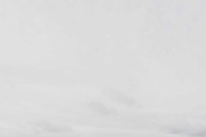 Leia mais sobre o artigo Gestão de equipes remotas em 2026: estratégias de sucesso