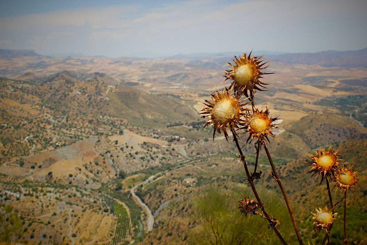 Leia mais sobre o artigo Lidando com Equipes Híbridas em 2026: As Melhores Dicas para Líderes de Sucesso