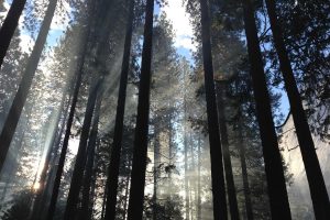 Leia mais sobre o artigo Os Maiores Eventos Esportivos do Brasil em 2026 – Não Perca Nenhum Deles!