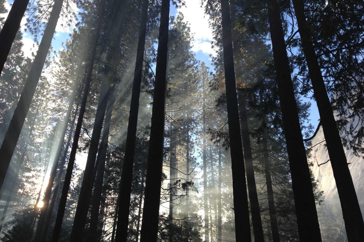 Leia mais sobre o artigo Os Maiores Eventos Esportivos do Brasil em 2026 – Não Perca Nenhum Deles!