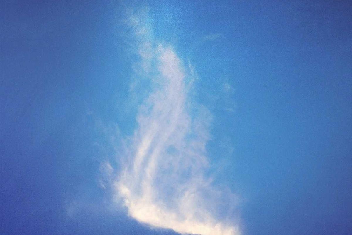 Leia mais sobre o artigo Combatendo a fome e a pobreza no Brasil em 2026: Iniciativas que estão transformando vidas