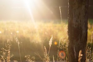 Leia mais sobre o artigo As Maiores Mudanças no Mercado de Trabalho Brasileiro em 2026