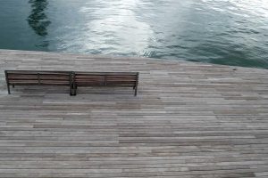 Leia mais sobre o artigo Descubra os Novos e Revolucionários Avanços da Medicina Regenerativa em 2026