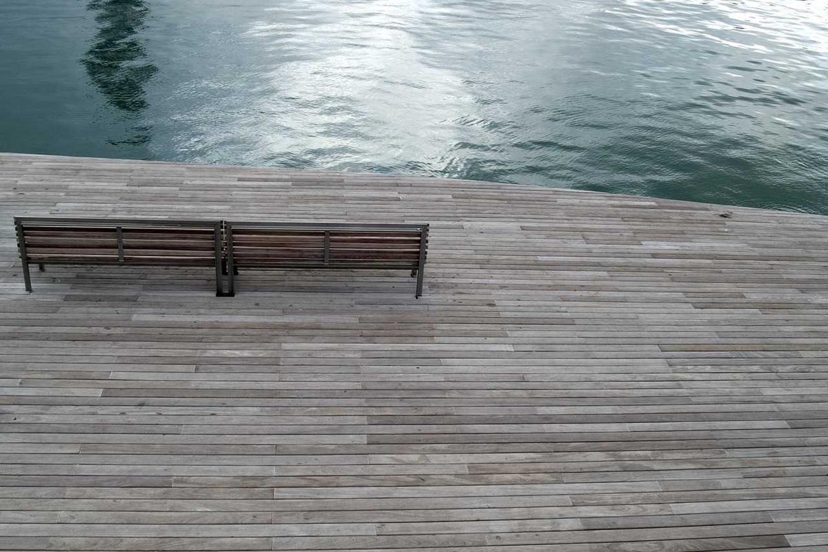 Leia mais sobre o artigo Descubra os Novos e Revolucionários Avanços da Medicina Regenerativa em 2026