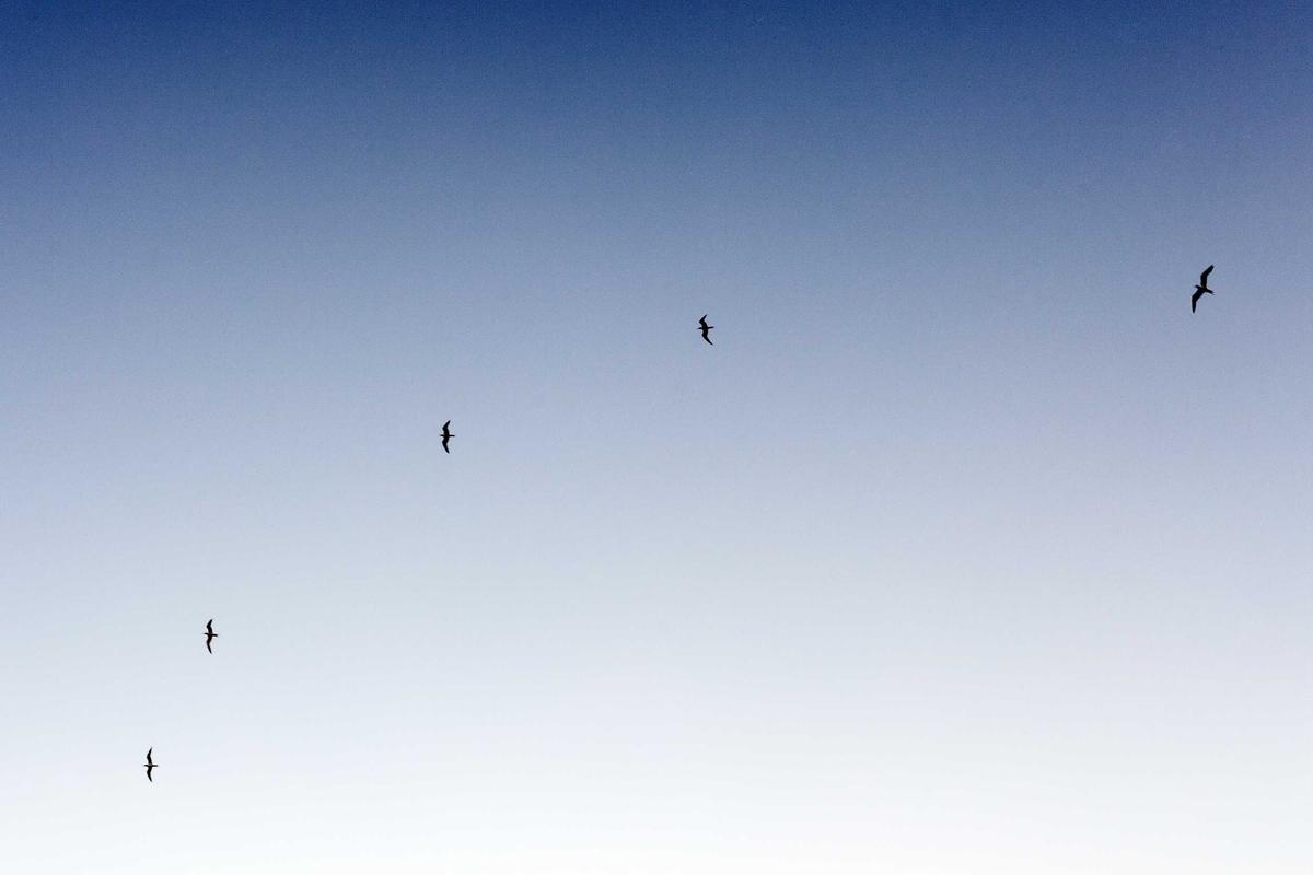 Leia mais sobre o artigo Quer se Qualificar e Conquistar uma Ótima Oportunidade em 2026? Conheça os Melhores Programas!