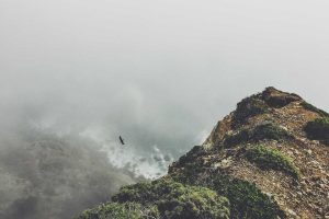 Leia mais sobre o artigo Descubra as empolgantes tendências dos esportes eletrônicos em 2026