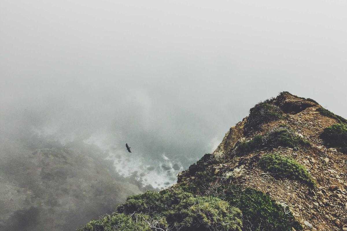 Leia mais sobre o artigo Descubra as empolgantes tendências dos esportes eletrônicos em 2026